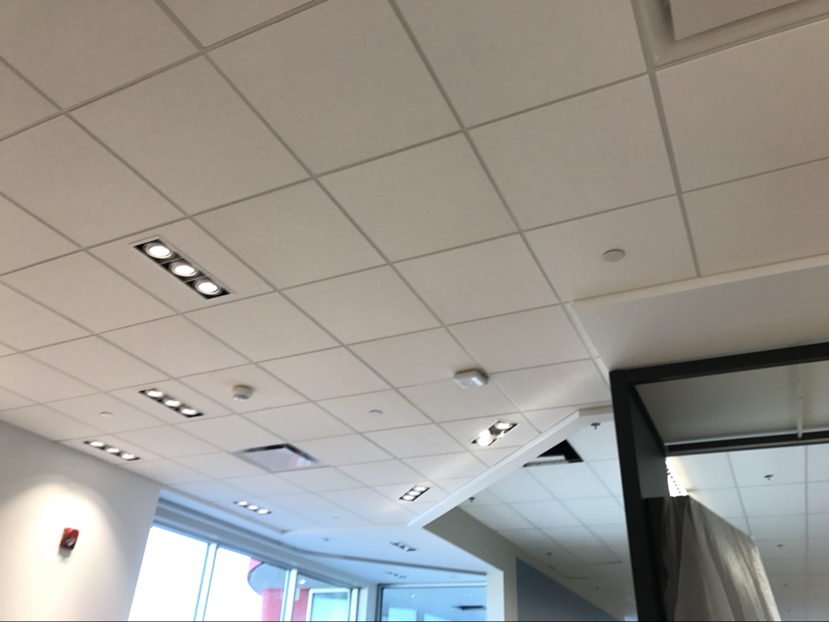 Finished T-bar ceiling with recessed downlights