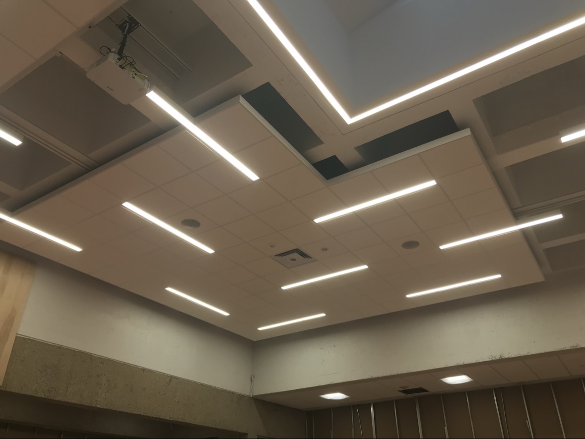 Acoustic tile ceiling with linear LED lighting